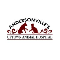 Uptown Animal Hospital, INC logo