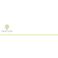 Venturi Consulting Group logo
