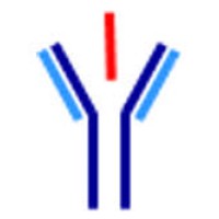 Allergy Rheumatology Immunology Associates Of North Texas logo