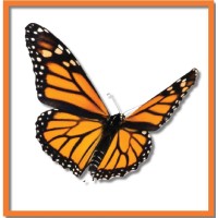 Image of Metamorphosis Consulting