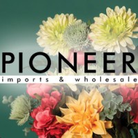 Pioneer Imports & Wholesale logo
