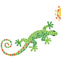 Gecko Tours Split logo