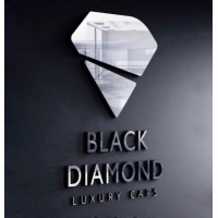 Black Diamond Holding Group logo