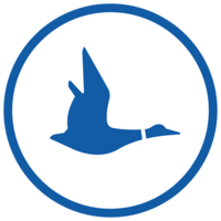 Blue Duck Scooters logo