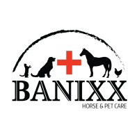 Banixx logo