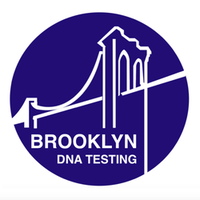 Brooklyn DNA Testing logo