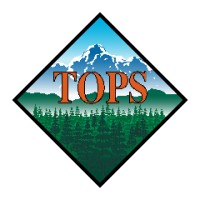 Tops Solid Surface logo