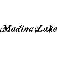 Madina Lake logo