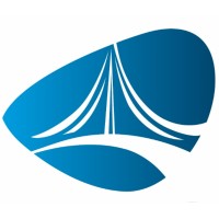 Brain Bridge logo