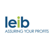 LEIB Solutions LLC logo