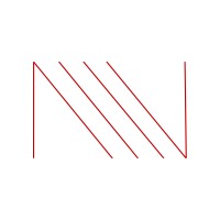 The Ness Group logo