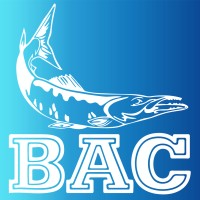 Burlingame Aquatic Club logo