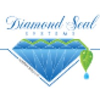 Diamond Seal Systems logo