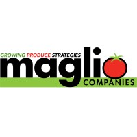 Maglio Companies logo