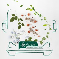 PASTEL logo