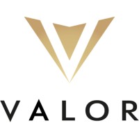 Valor Energy Group logo