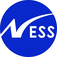 Ness Digital Engineering - ServiceNow Practice logo