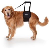 GingerLead Dog Support & Rehabilitation Harnesses logo