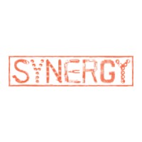 Synergy Porto logo