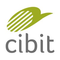 Cibit Academy logo