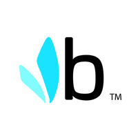 Bumbleride Inc. logo