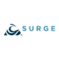 SURGE Ventures logo