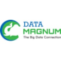Data Magnum logo