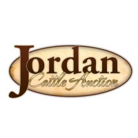 Jordan Cattle Auction