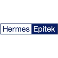 Hermes-Epitek Corporation Pte Ltd logo