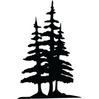 Sandy Pine logo