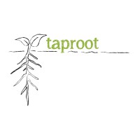 Taproot logo