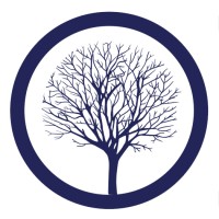 Springtree Media Group logo