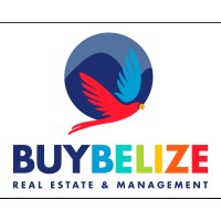 Buy Belize Real Estate Ltd logo