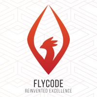 FlyCode logo