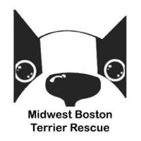 MIDWEST BOSTON TERRIER RESCUE logo