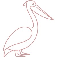 Pelican Health logo