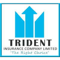 Trident Insurance Company Limited logo