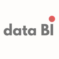 Data BI LLC logo