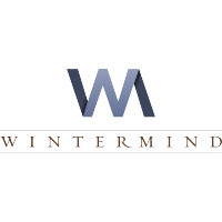 Wintermind Group logo