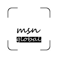 MSN Global IT Solutions logo