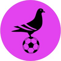 NYC Footy logo