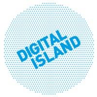 DIGITAL ISLAND LTD logo
