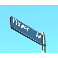 Flower Ave - Video Production Service logo