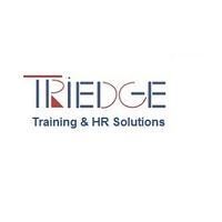 TriEdge Solutions logo