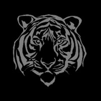 Black Tiger Taekwondo Martial Arts School logo