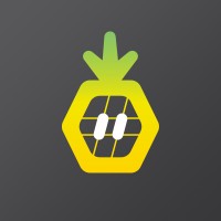 Pineapple Works logo
