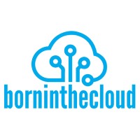Born In The Cloud (follow Open Systems) logo