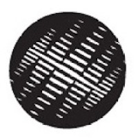 The Solar Foundation logo