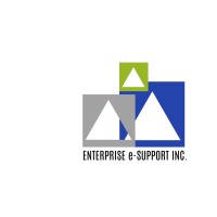 Enterprise E-Support, Inc. logo