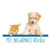 Image of Pet Insurance Review